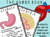 The Human Body Interactive Worksheet