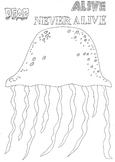 Dead, Alive, Never Lived: Ocean Theme: Jellyfish Worksheet to Colour In