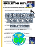 Forensic Files : Skeleton Key (science / psychology video worksheet / DNA)