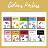 Colour Posters