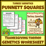 Thanksgiving Punnett Square Worksheet - Turkey Genetics