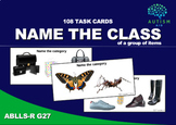 Name CLASS Of Object Set - ABLLS-R Aligned G27 - 108 Class/Category Task Cards