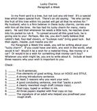 Lucky Charms Writing Topic