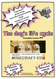The dog's life cycle bundle PPT lesson 7-9 years with Homework & Preview