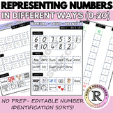 Representing Numbers in Different Ways (0-20) EDITABLE!
