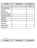 Cellular Transport Graphic Organizer
