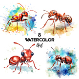 Watercolor Ant Clipart Bundle - Transparent Backgrounds Images