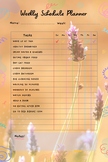Weekly Printable Daily Planner/ Downloadable  Daily Weekly Printable Planner