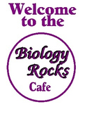 Biology bulletin board: Biology Rocks