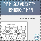 The Muscular System Terminology Maze