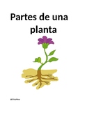 Partes de una planta/ Parts of a plant in Spanish