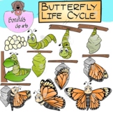 Butterfly Life Cycle