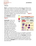 A&P II Â¨C Lab Exercise Blood Teacher Version