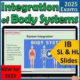 IB Biology C3.1 integration of Body Systems - IB Diploma First Exams 2025