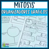 Ciclo celular/ Mitosis: Hojas de Tarea
