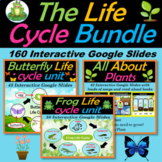 The Life Cycle Bundle, covers Butterfly, Frog and Plants - 160 Google Slides
