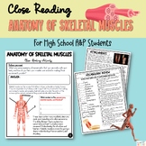 Unlocking the Mysteries of Skeletal Muscle Anatomy: A Close Reading Guide