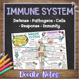 Immune System Doodle Notes & Quiz | Human Body Defense Structures & Pathogens