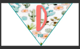 Decoration/Bulletin Board Bundle - Cactus Theme