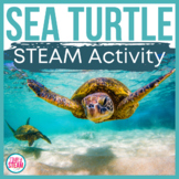Ocean STEM Activities Animal Life Cycles Sea Turtles Informational Writing STEAM