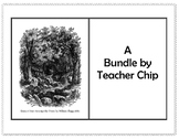 Matthew True or False Companion Quizzes