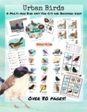 Urban Birds - A Bird Unit for City Kids & Classrooms