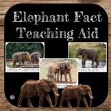 Zoo Unit - Elephant Teaching Aids *with real pictures* // PreK, K, 1st, 2nd