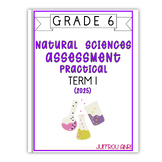 Grade 7 Natural Sciences Term 1 Practical Assessment (#2025)